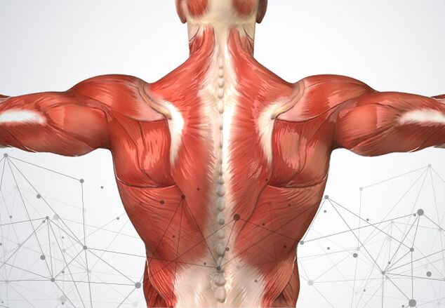 Sakit otot di sepanjang tulang belakang